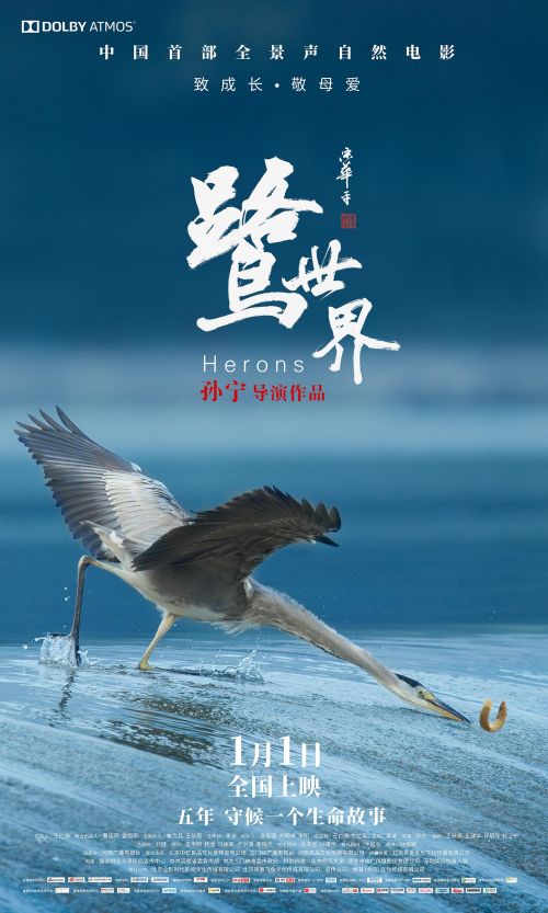 鹭世界新海报