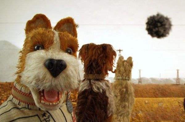 漫评犬之岛：活了二十多年的道理，都缩影在这些狗狗身上了
